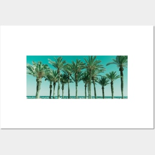 Row of tropical feeling palm trees panorama shape image Posters and Art